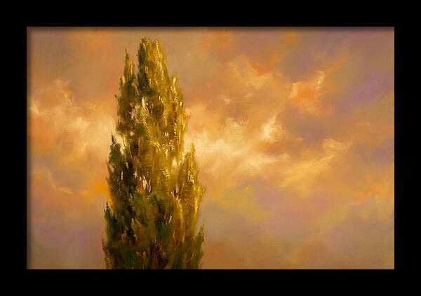 Tuscan Cypress