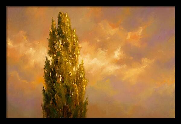 Tuscan Cypress