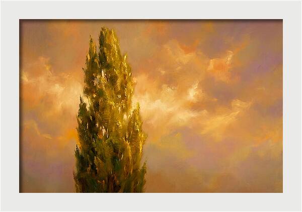 Tuscan Cypress