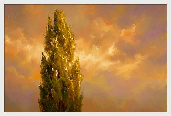 Tuscan Cypress