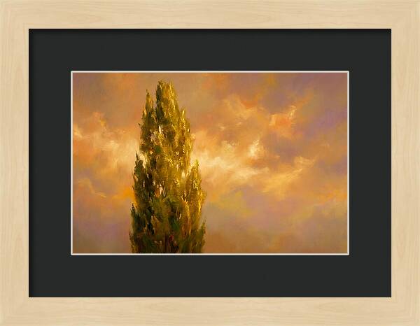 Tuscan Cypress