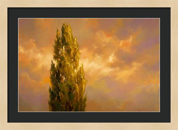 Tuscan Cypress