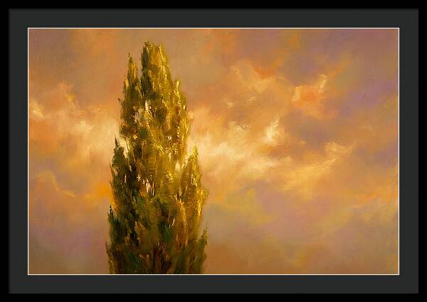Tuscan Cypress
