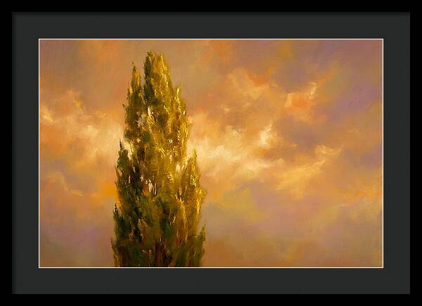 Tuscan Cypress