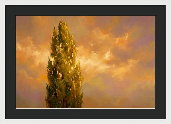 Tuscan Cypress