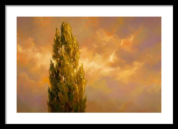 Tuscan Cypress