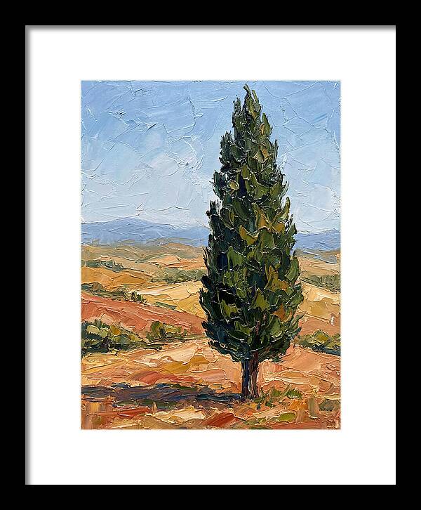 Tuscan Cypress In Landscape