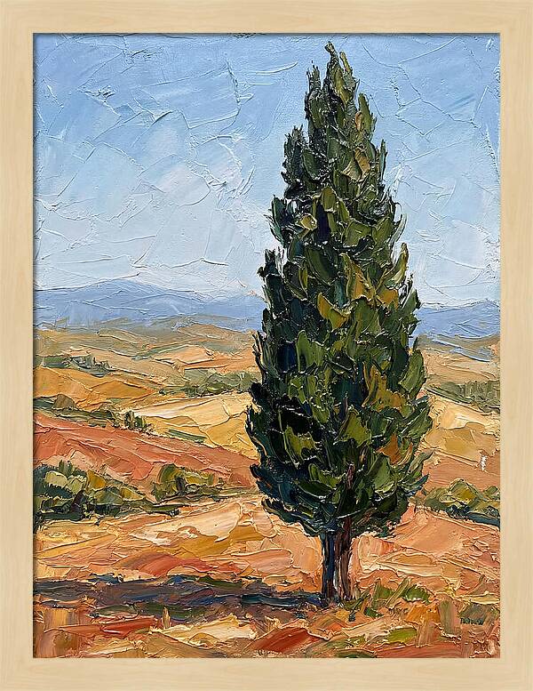 Tuscan Cypress In Landscape