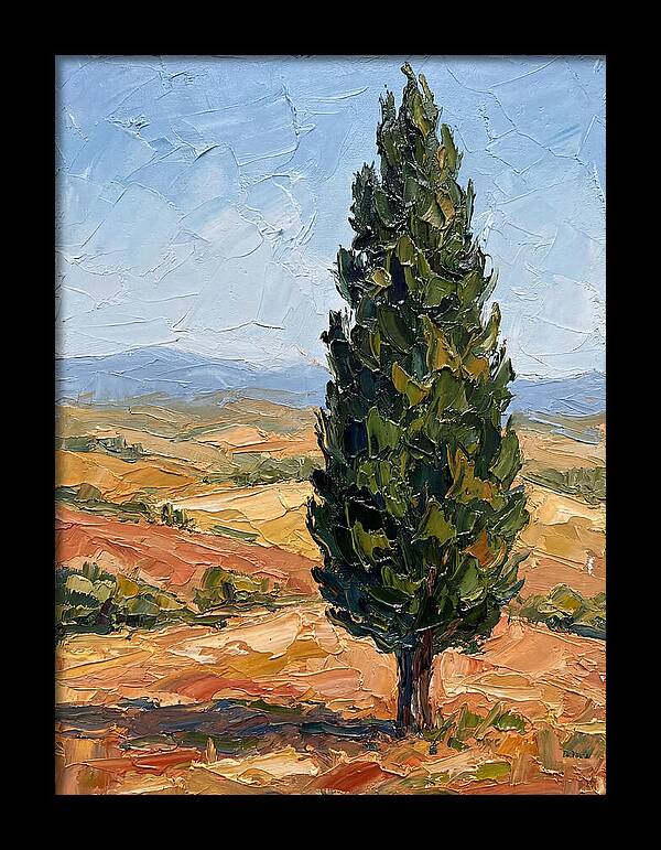 Tuscan Cypress In Landscape