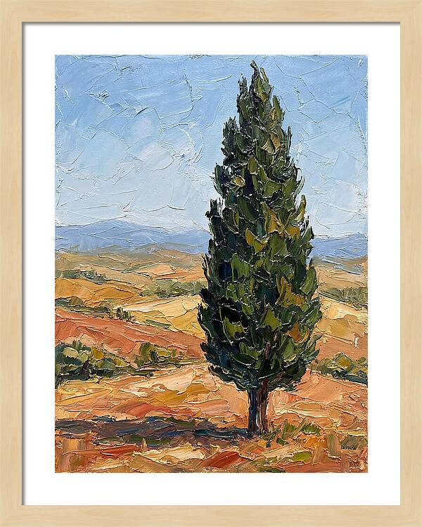 Tuscan Cypress In Landscape