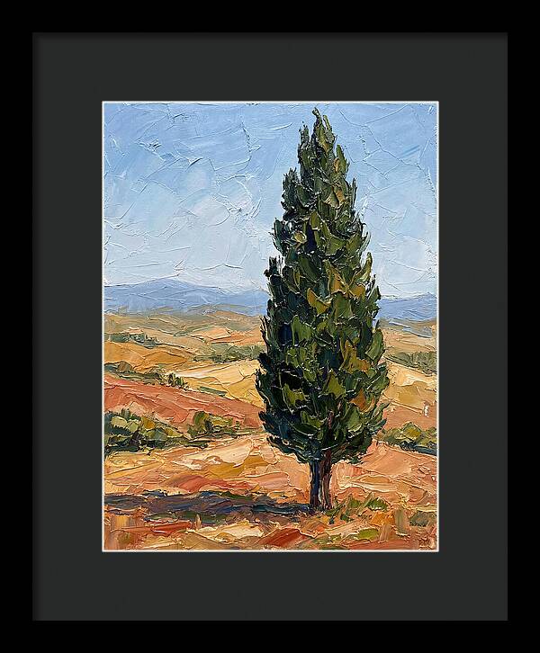 Tuscan Cypress In Landscape