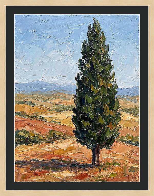 Tuscan Cypress In Landscape