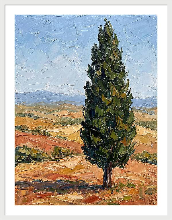 Tuscan Cypress In Landscape