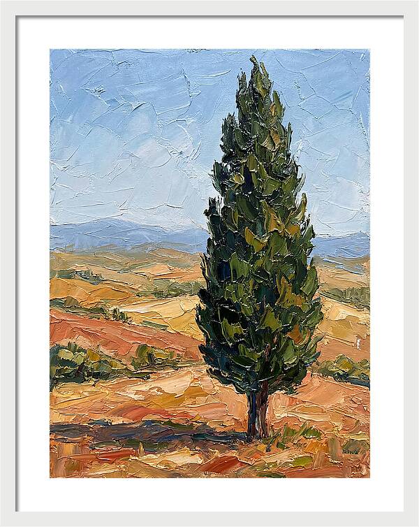 Tuscan Cypress In Landscape