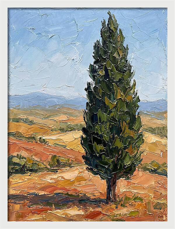 Tuscan Cypress In Landscape