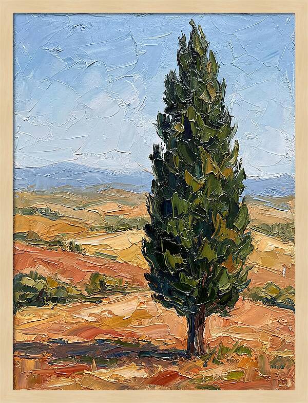 Tuscan Cypress In Landscape