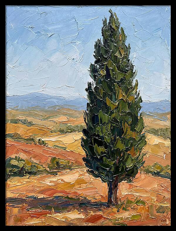Tuscan Cypress In Landscape