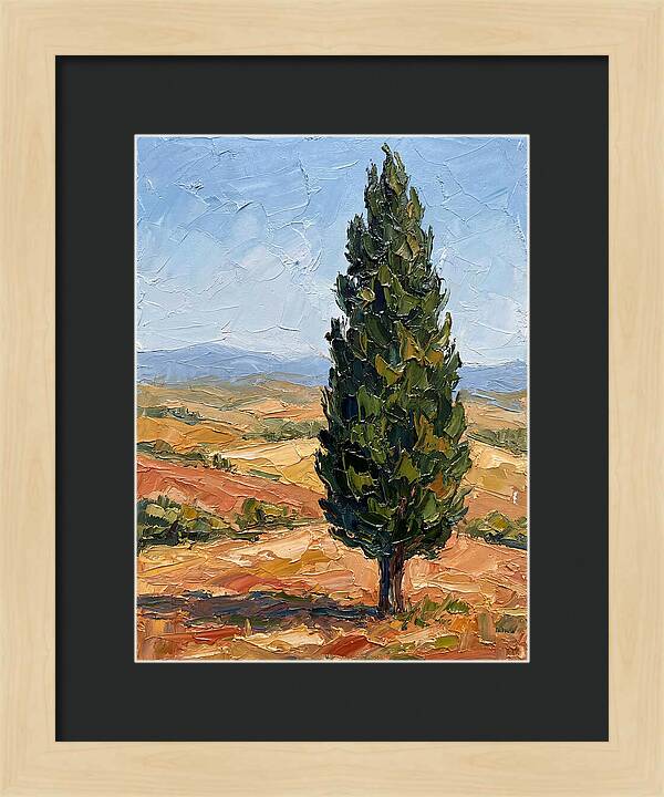 Tuscan Cypress In Landscape