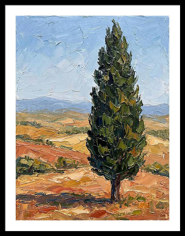 Tuscan Cypress In Landscape