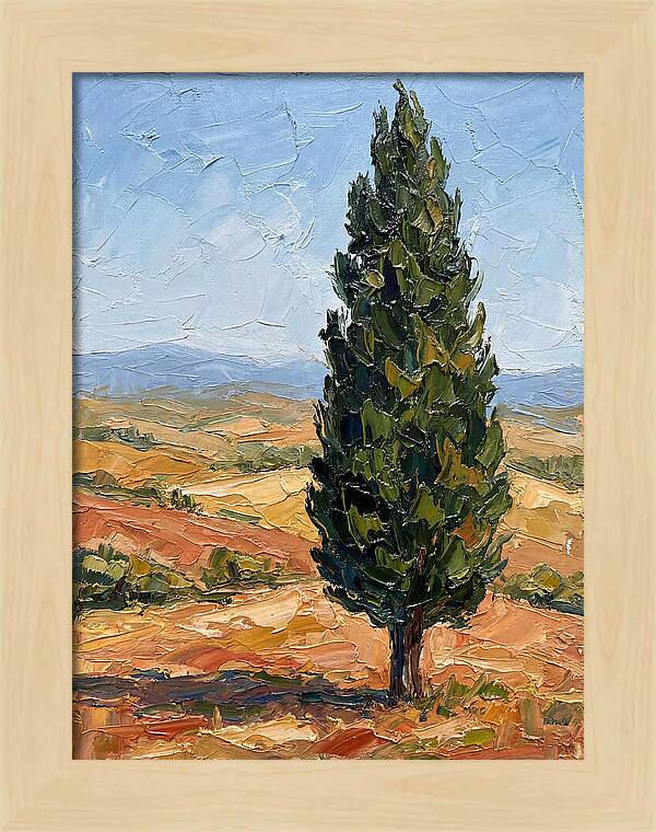 Tuscan Cypress In Landscape