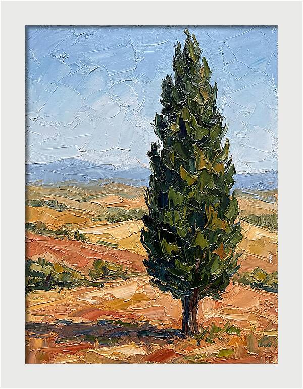 Tuscan Cypress In Landscape