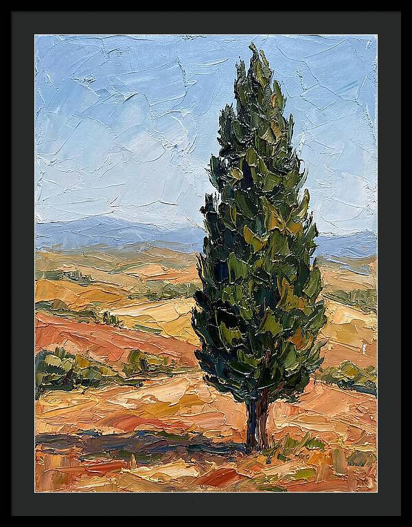 Tuscan Cypress In Landscape