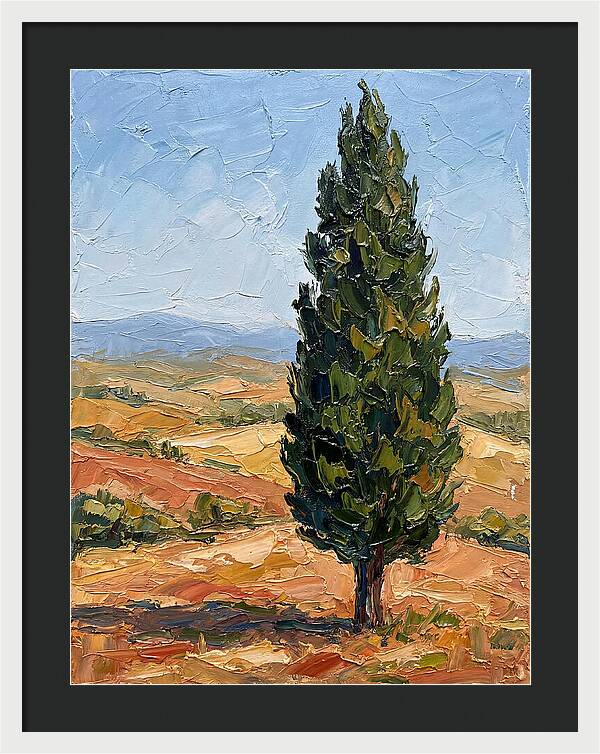 Tuscan Cypress In Landscape