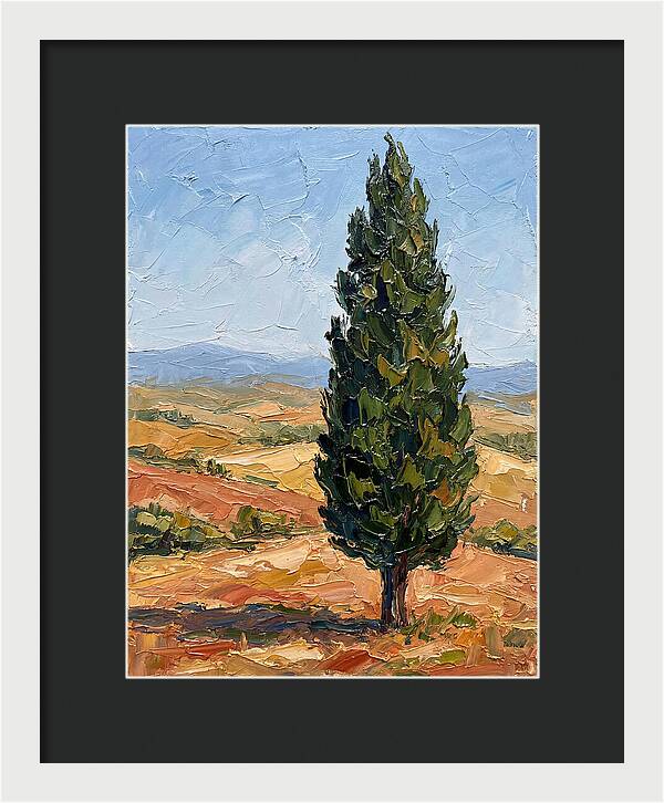 Tuscan Cypress In Landscape