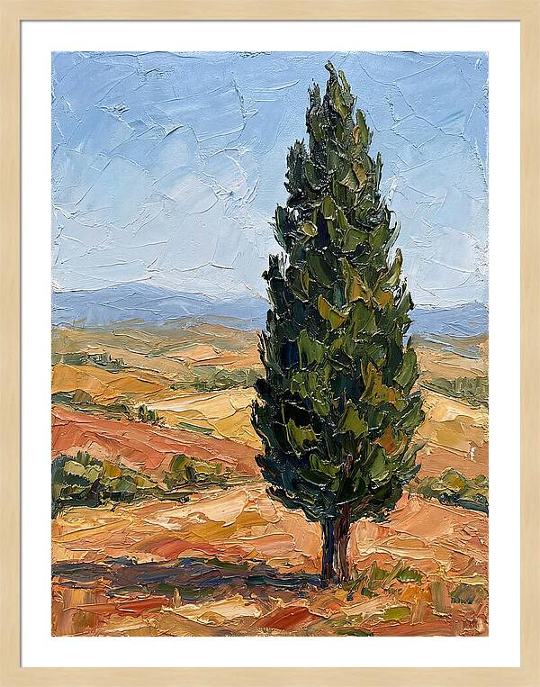 Tuscan Cypress In Landscape