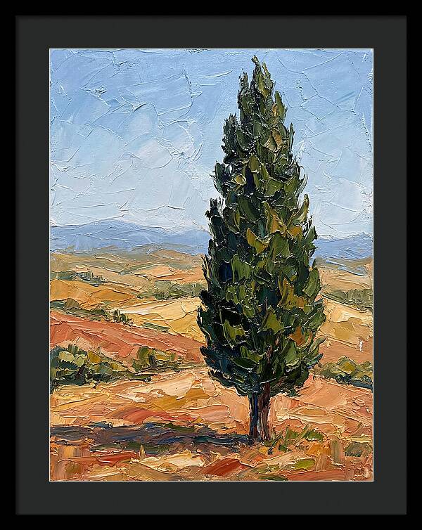 Tuscan Cypress In Landscape