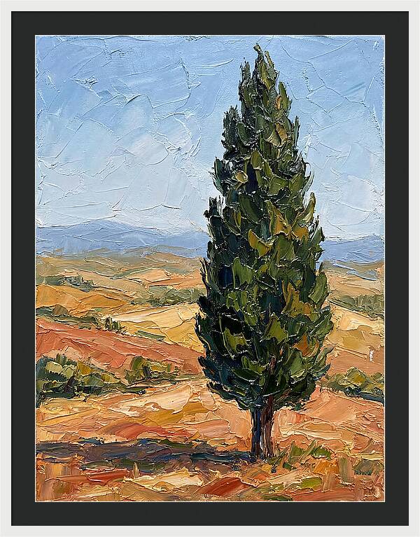 Tuscan Cypress In Landscape