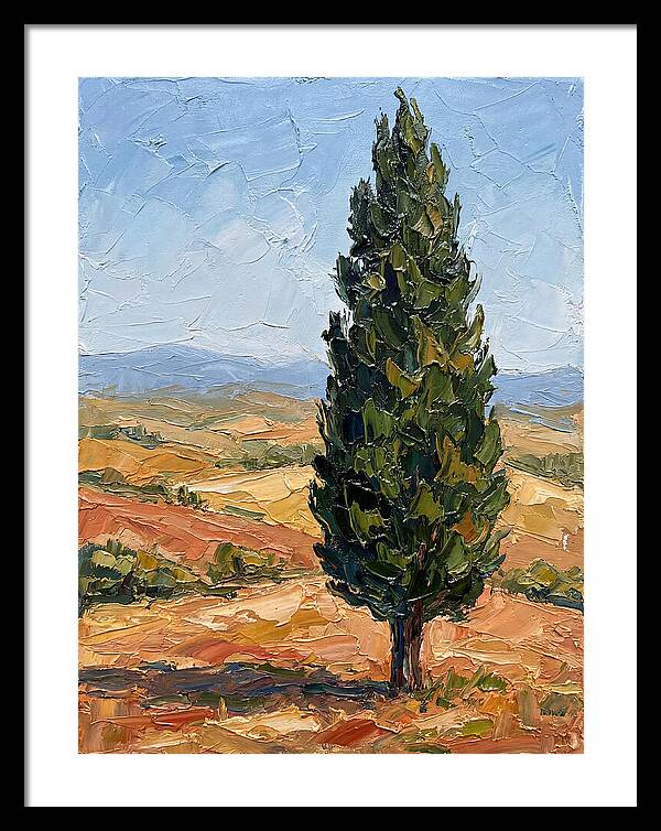 Tuscan Cypress In Landscape