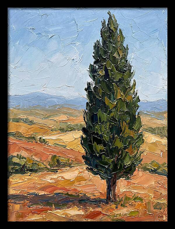 Tuscan Cypress In Landscape