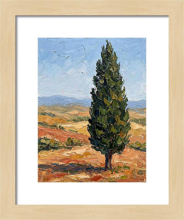 Tuscan Cypress In Landscape