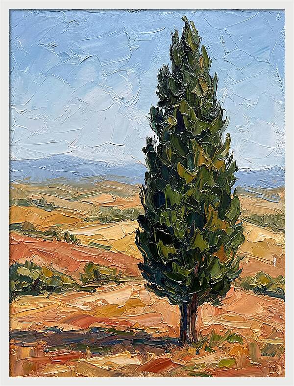 Tuscan Cypress In Landscape