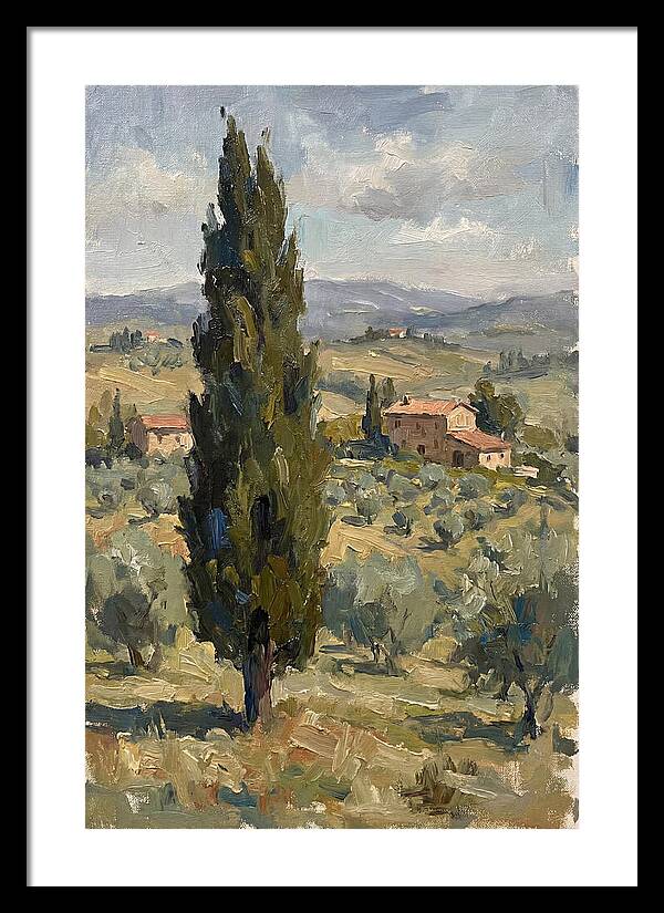 Tuscan Cypress Landscape