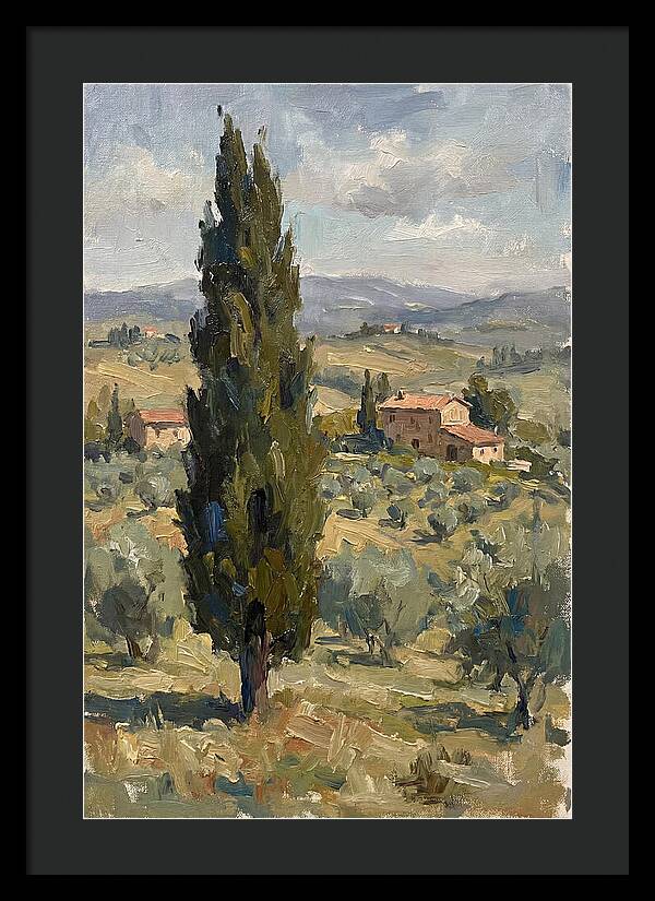 Tuscan Cypress Landscape