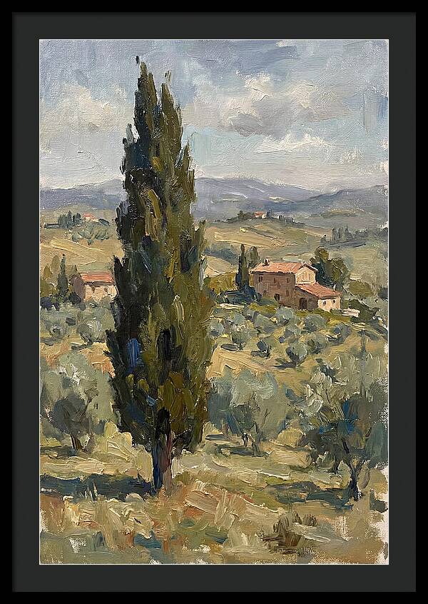 Tuscan Cypress Landscape