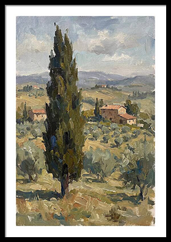 Tuscan Cypress Landscape
