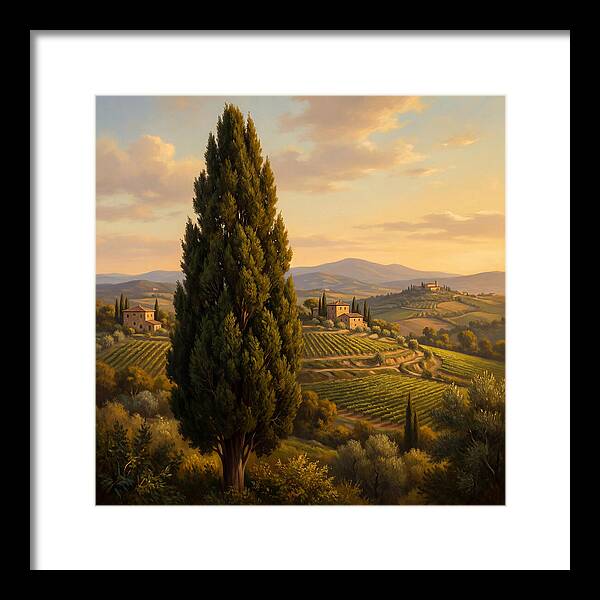 Tuscan Cypress Serenity