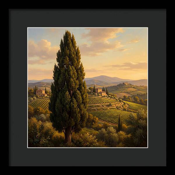 Tuscan Cypress Serenity