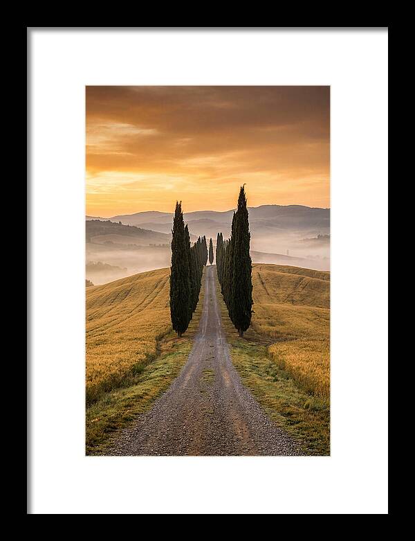 Tuscan Hills At Dawn
