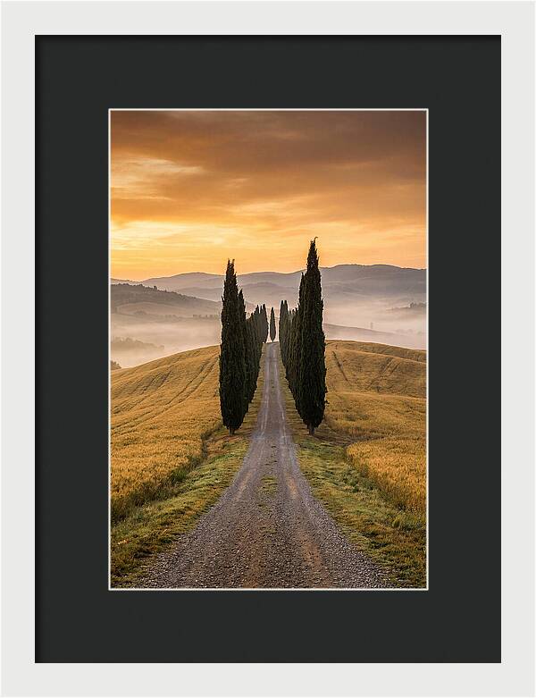 Tuscan Hills At Dawn
