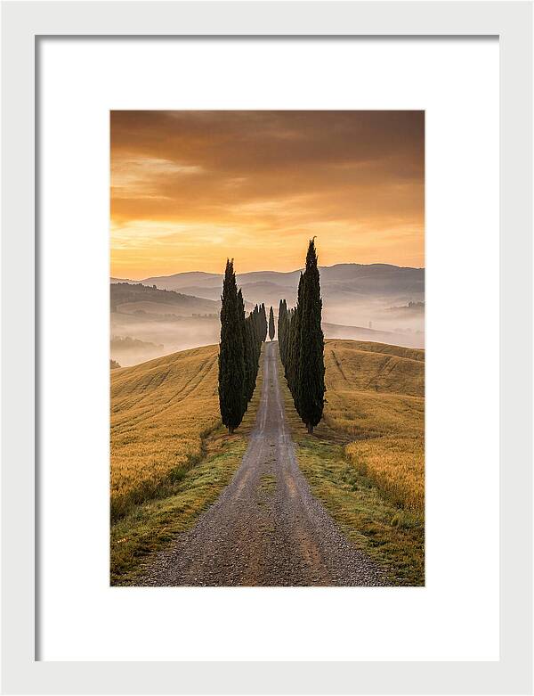 Tuscan Hills At Dawn