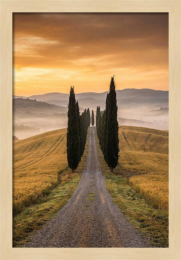 Tuscan Hills At Dawn