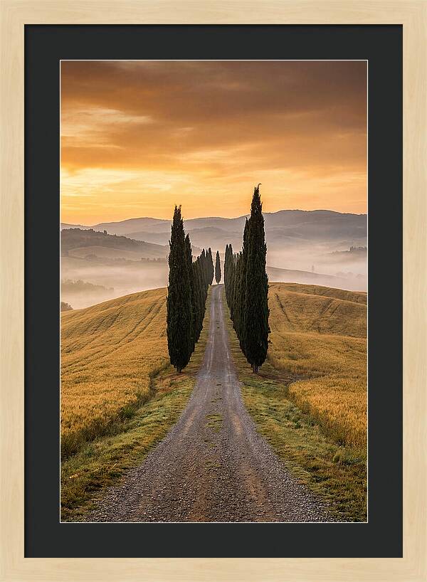 Tuscan Hills At Dawn