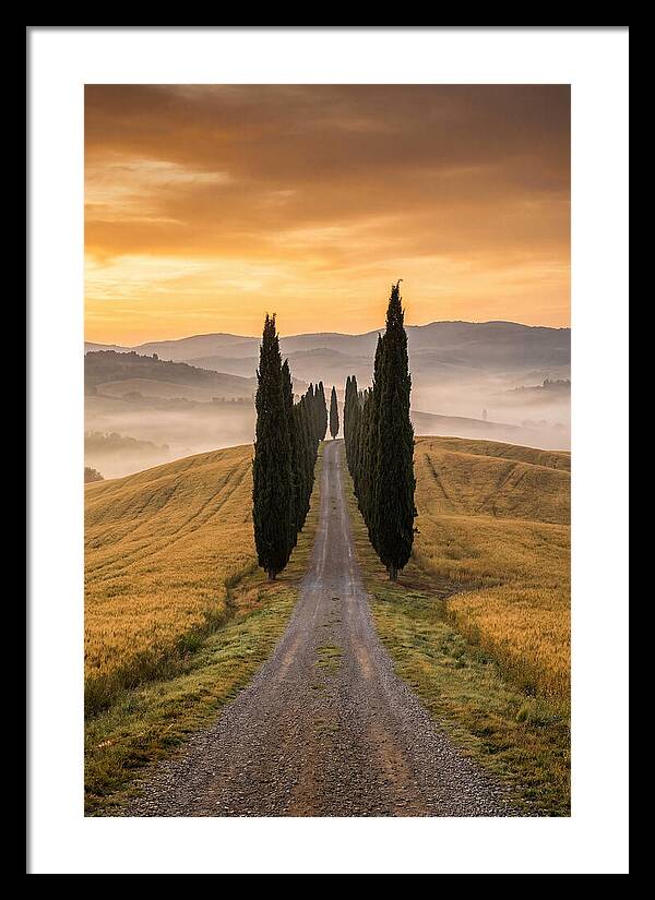 Tuscan Hills At Dawn