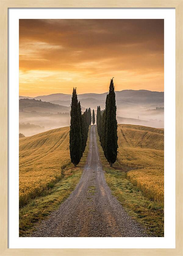 Tuscan Hills At Dawn