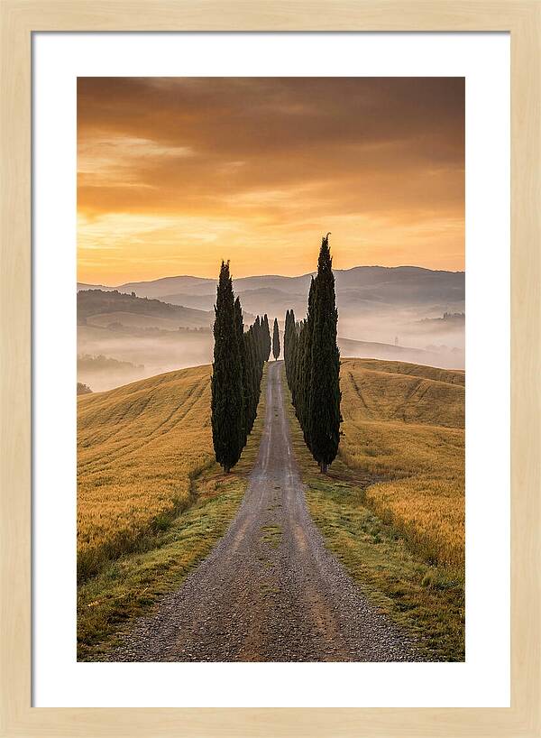 Tuscan Hills At Dawn