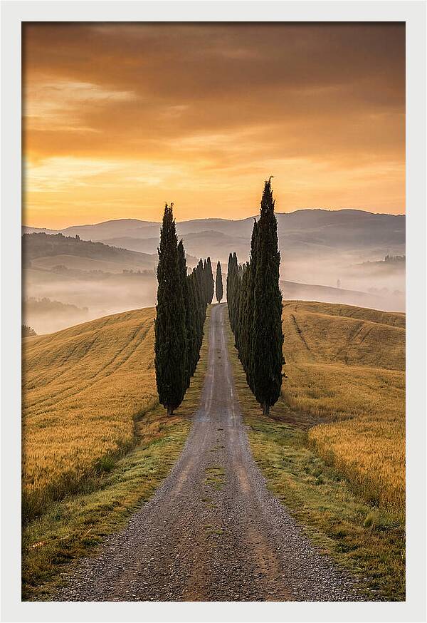 Tuscan Hills At Dawn